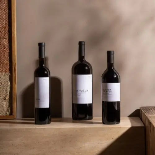 botellas de vidrio para vino